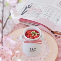 Salon de Chocolat berry