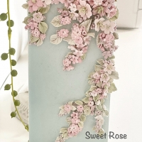 Sweet　Rose