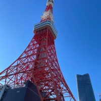 mignonneミニョンヌ