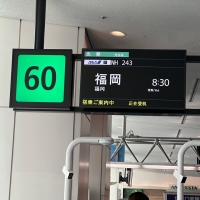 リボンアール