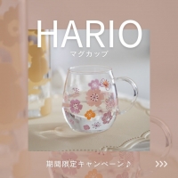日野市Salon de Arabesque