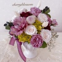 cherryblossom