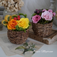 Atelier Majoram