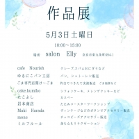 salon  Elly