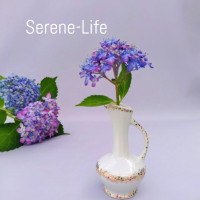 Serene-Life