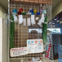 レッスンサロン  コオリナ