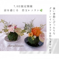 cherryblossom