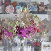 salon de Audrey