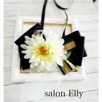 salon  Elly