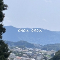 chou chou