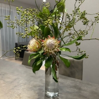 AILE D'ANGE　エイルドアンジュ