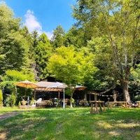 フラワーサロン　リシェス