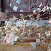 みきぼう～Sucre～