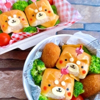 Lady Kelly（レディーケリー）