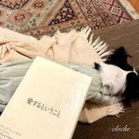 cloche (クロチェ)