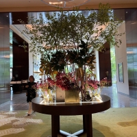 プティフォンテーヌ