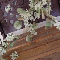 みきぼう～Sucre～