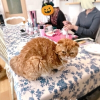 M＊Ruban（エムリュバン)・ 広島