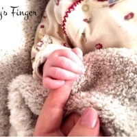 COCOLAN(ココラン)