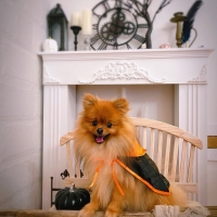 M＊Ruban（エムリュバン)・ 広島