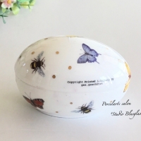 スタジオ＊ブルーグラス