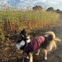 Atelier BLUE（ｱﾄﾘｴ ﾌﾞﾙｰ）