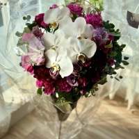 InfiniRose(アンフィニローズ）