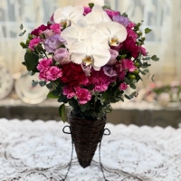 InfiniRose(アンフィニローズ）