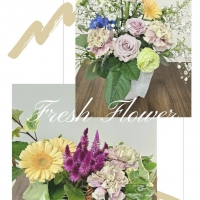 アトリエＭａｎｙ