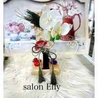 salon  Elly
