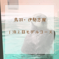 cadenza (カデンツァ)