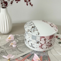 札幌ポーセラーツAmeri