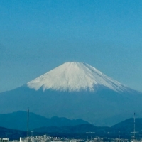 InfiniRose(アンフィニローズ）