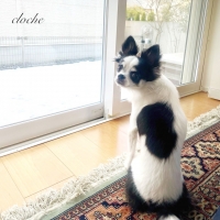 cloche (クロチェ)