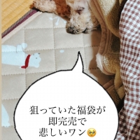 Atelier calmia 新潟 燕教室