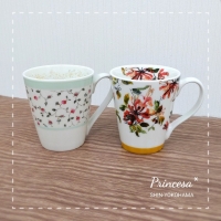 Princesa (プリンセサ)＊新横浜