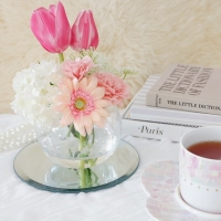 Salon de Chocolat berry