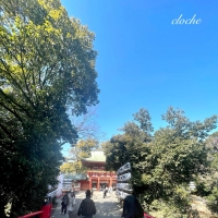 cloche (クロチェ)