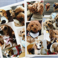 スタジオ＊ブルーグラス