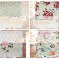 coffret joyeux ｺﾌﾚｼﾞｮﾜｲﾕ