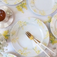 Archa（アーチャ）