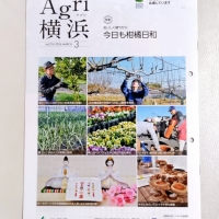 Princesa (プリンセサ)＊新横浜