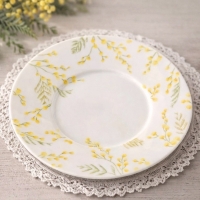 札幌ポーセラーツAmeri