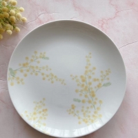 hauolipua（ハウオリプア）