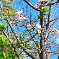 M＊Ruban（エムリュバン)・ 広島