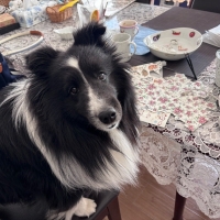 InfiniRose(アンフィニローズ）