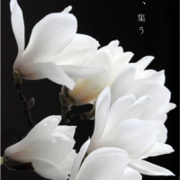 みきぼう～Sucre～