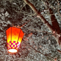 CENTRAL(セントラル)