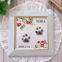 M＊Ruban（エムリュバン)・ 広島