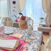 M＊Ruban（エムリュバン)・ 広島